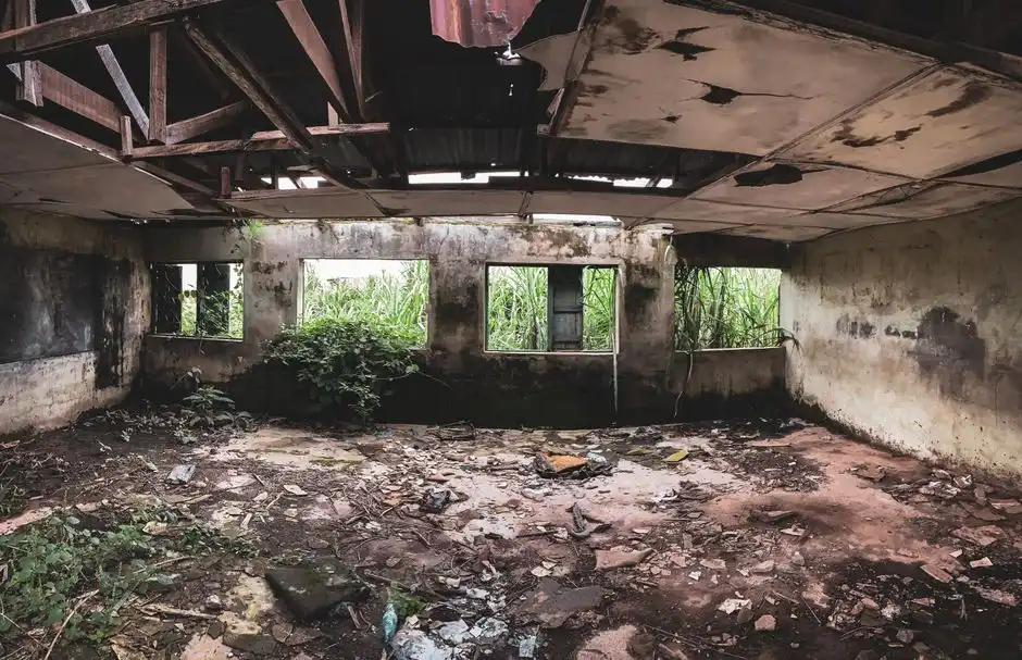 Interior of a decaying, abandoned building with vegetation growing inside and visible structural damage.